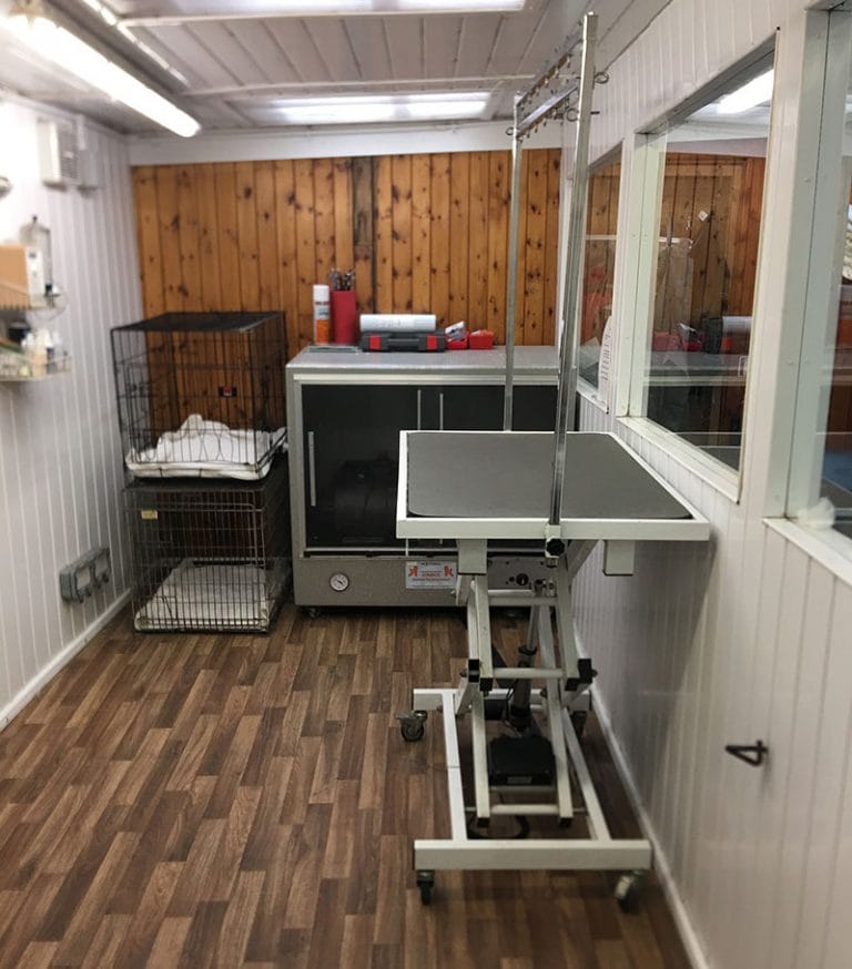 Dog store groom room